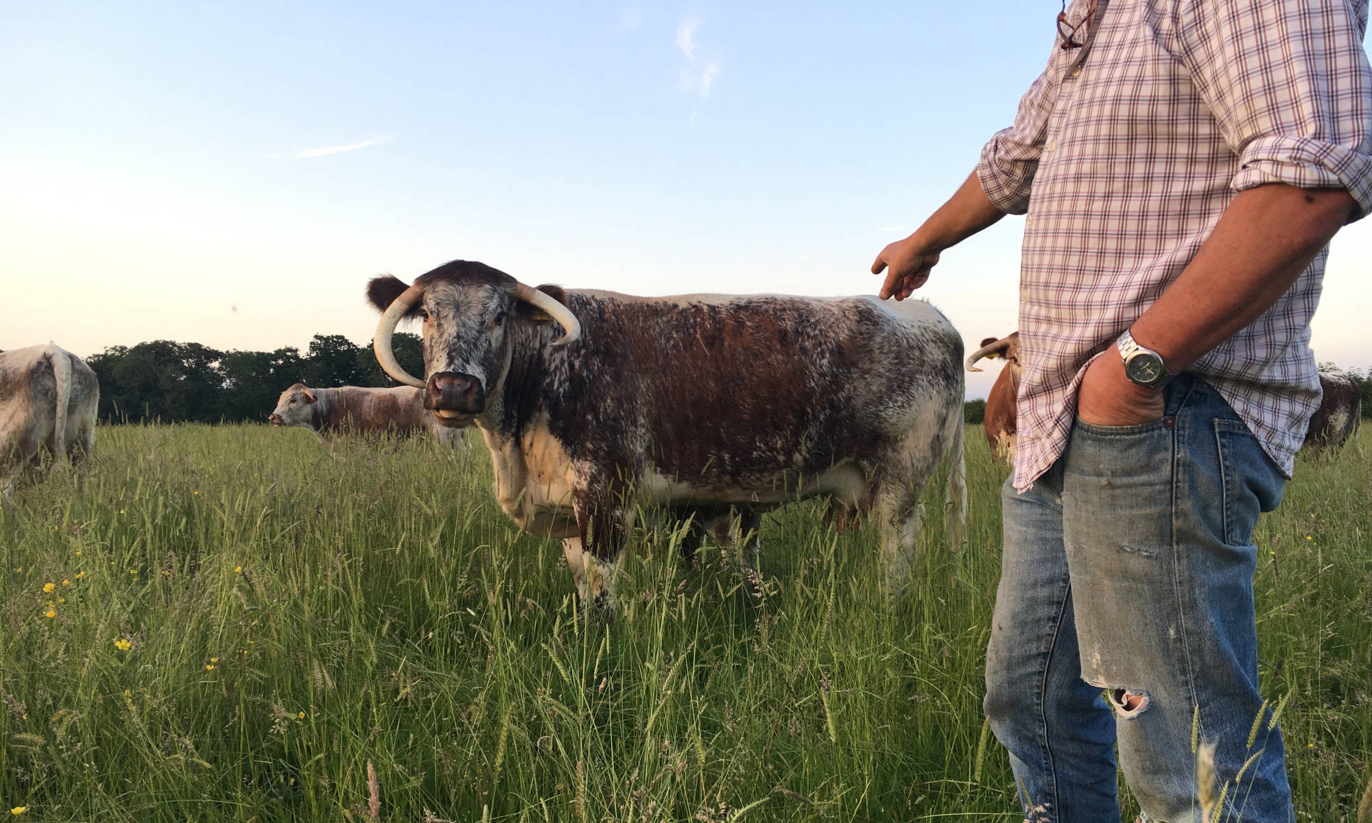 Natural and sustainable farming 